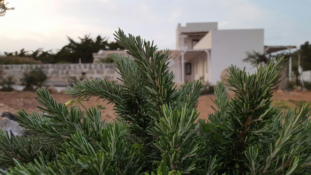 Casa Vacanze Senia Del Rais Favignana Kültér fotó